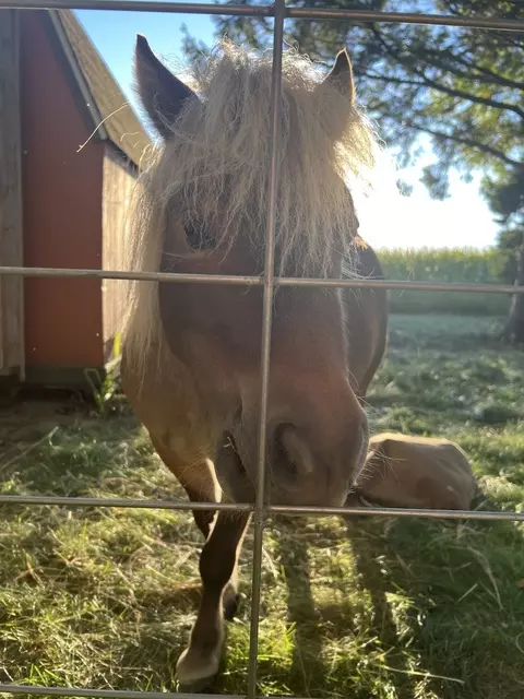 Other - 1191 N Cr 800e Rd, Champaign, IL 61822 photo 11 of 14