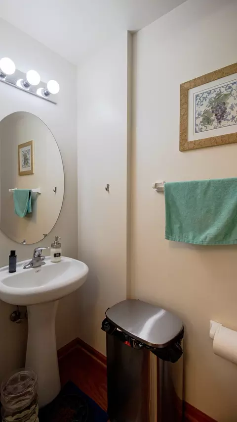 Bath - 1435 Millbrook Dr, Algonquin, IL 60102 photo 2 of 4
