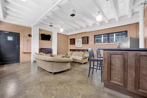 Living - 33 E Cedar St #5A, Chicago, IL 60611 photo 6 of 7