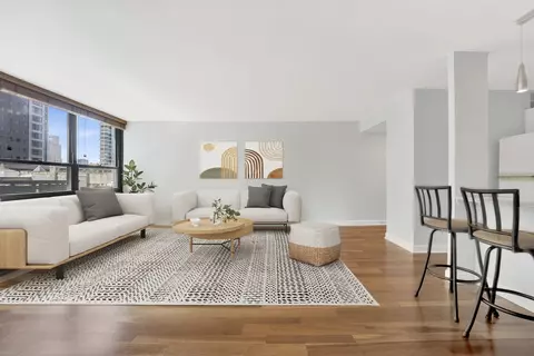 Living - 33 E Cedar St #5A, Chicago, IL 60611 photo 3 of 7