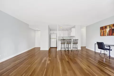 Living - 33 E Cedar St #5A, Chicago, IL 60611 photo 5 of 7