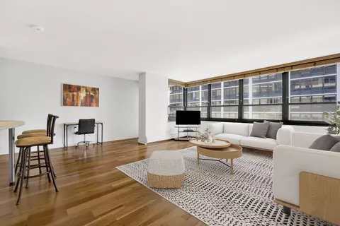 Living - 33 E Cedar St #5A, Chicago, IL 60611 photo 1 of 7