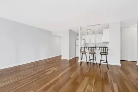 Living - 33 E Cedar St #5A, Chicago, IL 60611 photo 4 of 7