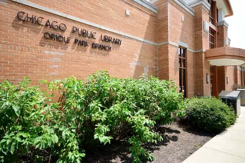 7817 W Gregory St, Chicago, IL 60656 photo 36