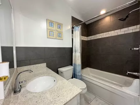 Bath - 314 N Chestnut St, Addison, IL 60101 photo 2 of 4