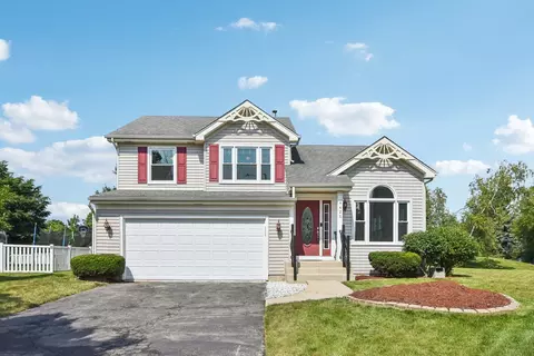4425 Old Meadow Ct, Plainfield, IL 60586 photo 2