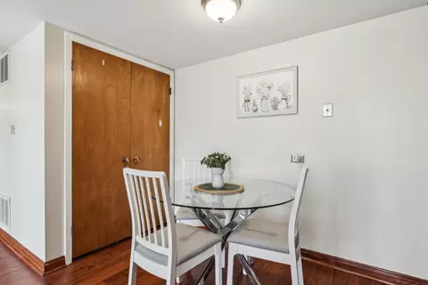 100 Deborah Ln #3A, Wheeling, IL 60090 photo 11