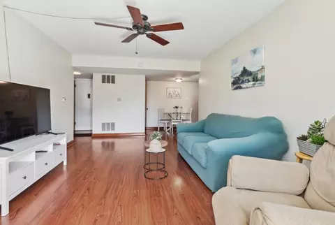 100 Deborah Ln #3A, Wheeling, IL 60090 photo 7