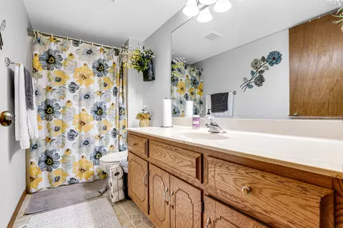 Bath - 18501 Willow Ln, Lansing, IL 60438 photo 3 of 3