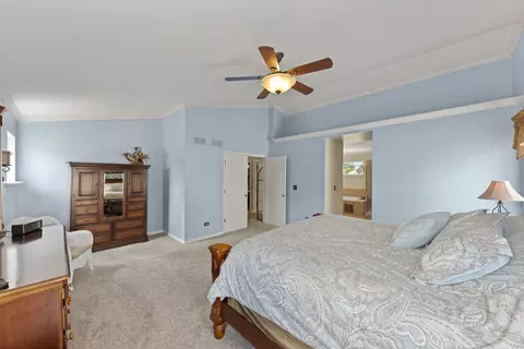 3015 Twin Falls Dr, Plainfield, IL 60586 photo 20