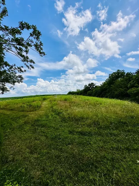 1625 E County Rd, Lacon, IL 61540 photo 4