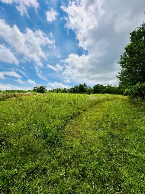 1625 E County Rd, Lacon, IL 61540 photo 2