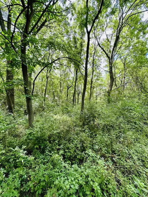 1625 E County Rd, Lacon, IL 61540 photo 13