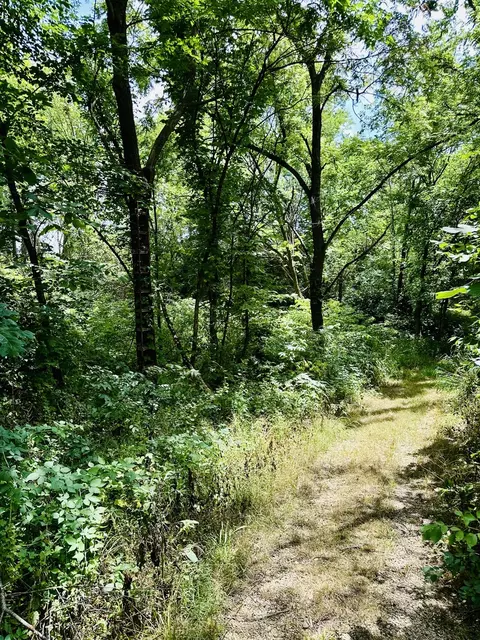 1625 E County Rd, Lacon, IL 61540 photo 8