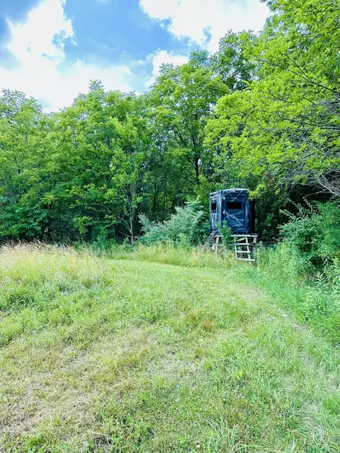 1625 E County Rd, Lacon, IL 61540 photo 3
