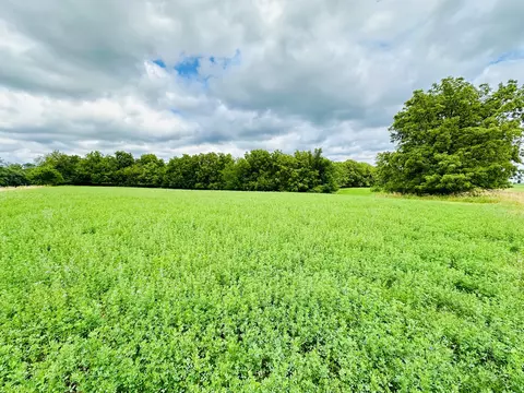 1625 E County Rd, Lacon, IL 61540