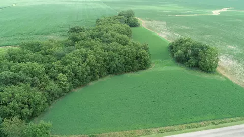 1625 E County Rd, Lacon, IL 61540 photo 19
