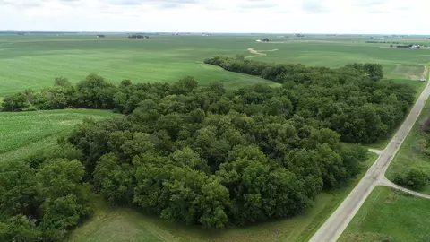 1625 E County Rd, Lacon, IL 61540 photo 14