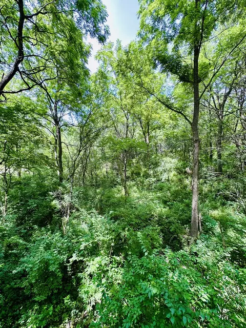 1625 E County Rd, Lacon, IL 61540 photo 9