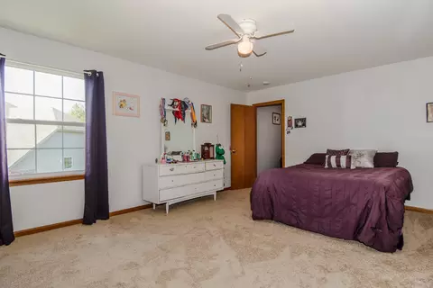 6605 Drumm Ct, Plainfield, IL 60586 photo 49