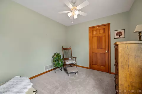 246 Ream Dr, Elburn, IL 60119 photo 13