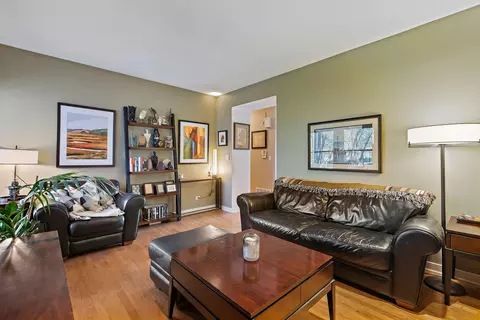 1023 E 46th St #1E, Chicago, IL 60653 photo 14