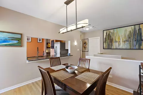 1023 E 46th St #1E, Chicago, IL 60653 photo 18