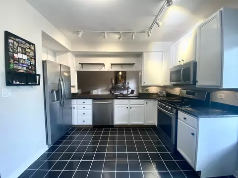 1023 E 46th St #1E, Chicago, IL 60653 photo 11