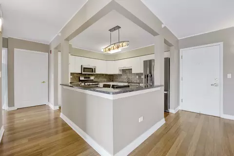 1477 E Thacker St #504, Des Plaines, IL 60016 photo 12
