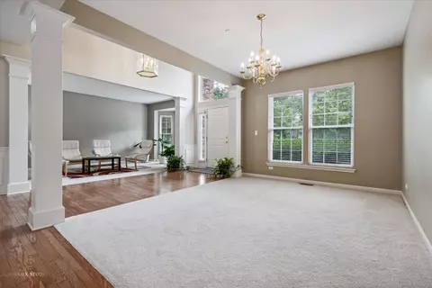 5 Springbrook Ct, Streamwood, IL 60107 photo 6
