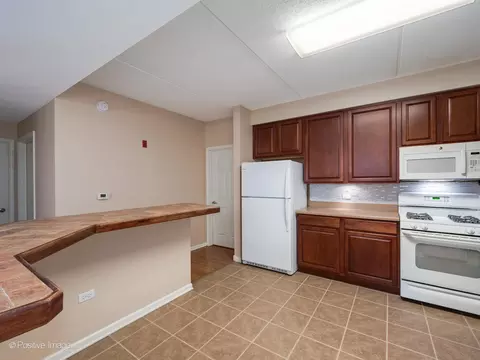656 Pearson St #502C, Des Plaines, IL 60016 photo 11