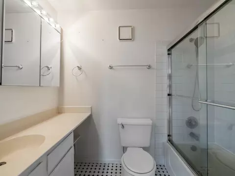 Bath - 3265 Kirchoff Rd #228, Rolling Meadows, IL 60008 photo 1 of 1
