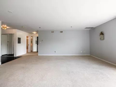 Living - 3265 Kirchoff Rd #228, Rolling Meadows, IL 60008 photo 2 of 5