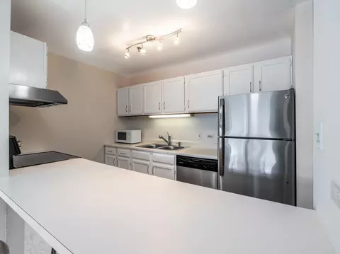 Kitchen - 3265 Kirchoff Rd #228, Rolling Meadows, IL 60008 photo 1 of 2