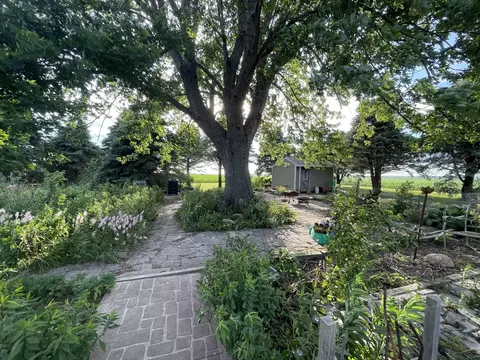 Exterior - 1306 E 3rd Rd, Lostant, IL 61334 photo 3 of 4