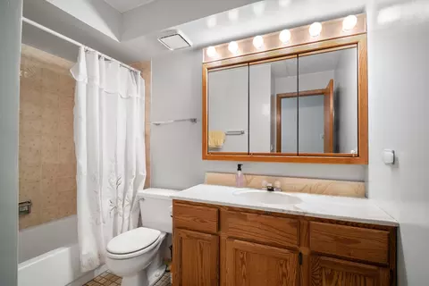 Bath - 1436 E Thacker St #201, Des Plaines, IL 60016 photo 2 of 2