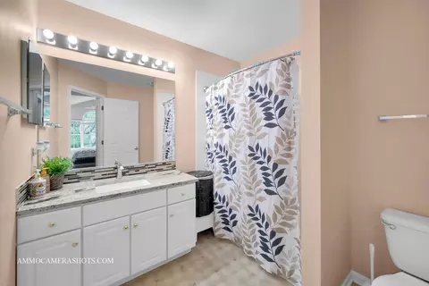 Bath - 5527 Azalea Ct, Rolling Meadows, IL 60008 photo 3 of 3