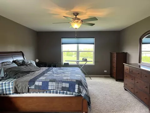 1985 Stapleton Rd, New Lenox, IL 60451 photo 18