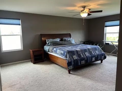 1985 Stapleton Rd, New Lenox, IL 60451 photo 17
