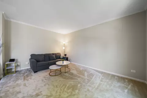 26525 Rustling Birch Way, Plainfield, IL 60585 photo 3