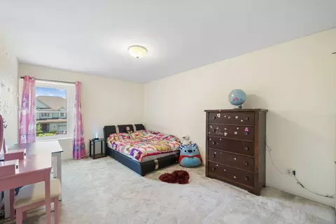 26525 Rustling Birch Way, Plainfield, IL 60585 photo 27