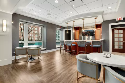 57 E Delaware Pl #2306, Chicago, IL 60611 photo 36