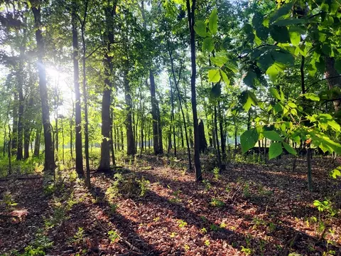 lot786 Rollingwood Pl, Varna, IL 61375
