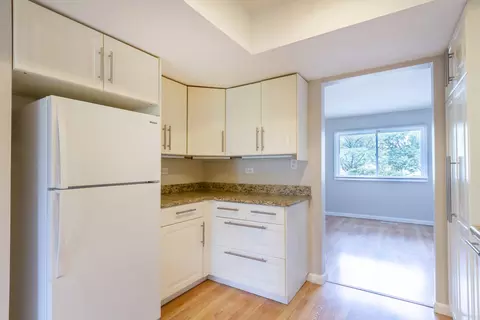 633 E Harbor Ter, Bartlett, IL 60103 photo 5