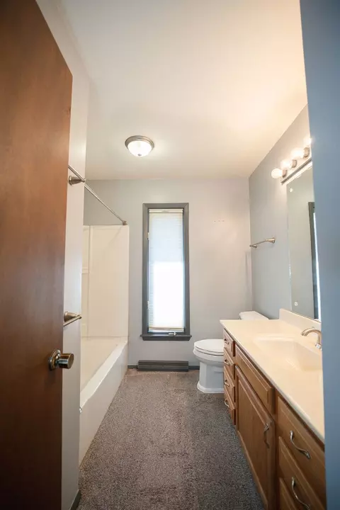 Bath - 1003 Page Dr, Champaign, IL 61821 photo 6 of 8