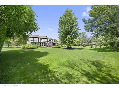 Exterior - 1413 Tomlin Dr, Burr Ridge, IL 60527 photo 11 of 12