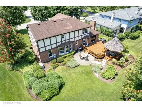 Exterior - 1413 Tomlin Dr, Burr Ridge, IL 60527 photo 10 of 12