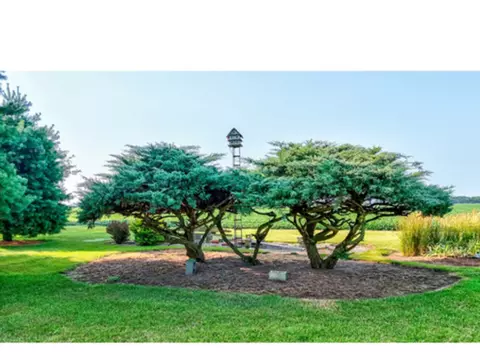 Exterior - 7346 E 3000 North Rd, Cornell, IL 61319 photo 10 of 14