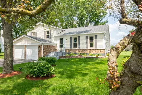 265 Stockport Ct, Roselle, IL 60172