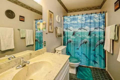 Bath - 479 Dee Ln, Roselle, IL 60172 photo 3 of 3